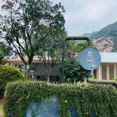 东篱下休闲农庄 User Photo