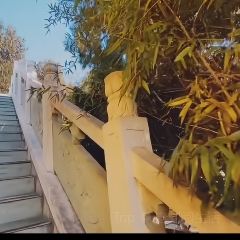 邻里印象 여행 사진