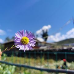 松潘上磨康萨藏家乐 User Photo