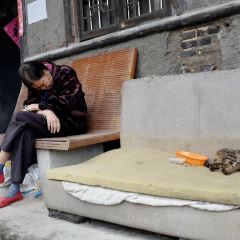 艾叶土鸡脚(艾叶店) User Photo