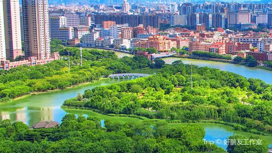 #花式過年看這裏 位於晉江世紀大道的綠洲公園，傍着雙溝河的風