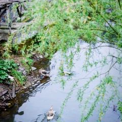 菌小妹庭院私廚張用戶圖片