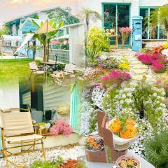 九月庭院咖啡馆(吉杨路店) User Photo