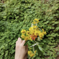 鐘大叔桂花烤羊用戶圖片