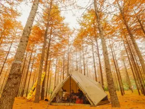 Popular Fall Viewing Attractions in Yixing