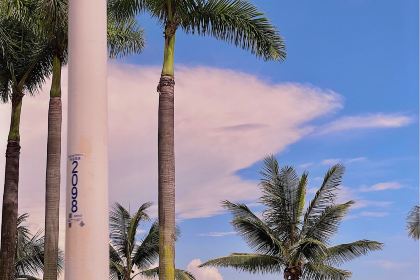 Blue Blue Craft Beer