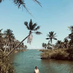 海棠湾 User Photo