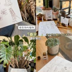 半亩方塘(定兴店) User Photo