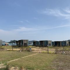 桂港海鮮城張用戶圖片