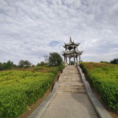 聚福园 User Photo