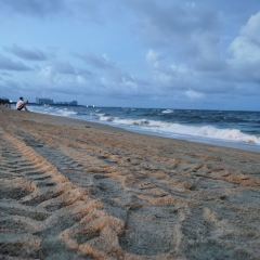 SEA STORY User Photo