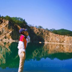 翠園農莊張用戶圖片