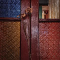 茉莉花园咖啡馆 User Photo