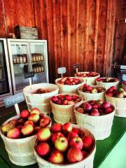 Applevale Orchards