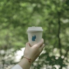 青芷森林·咖啡店 User Photo