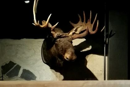 Viikinkiravintola Harald