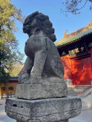 Shaolin Temple