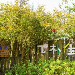 Fanpu Life User Photo