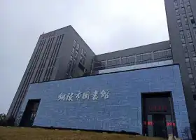 Tonglingshi Library