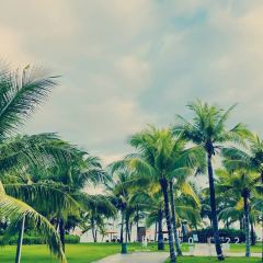 海南蓝湾绿城威斯汀度假酒店·西餐厅 여행 사진