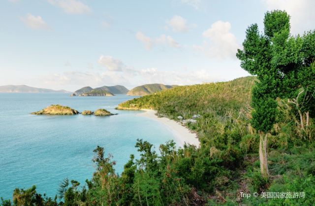 Trunk Bay