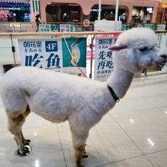 九田家黑牛烤肉料理(吾悦广场店) User Photo