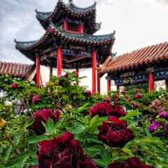 Caozhoumudanyuanhong Soup Lamb Restaurant User Photo