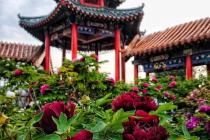 Caozhoumudanyuanhong Soup Lamb Restaurant