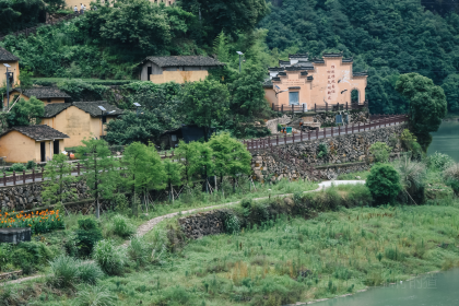 焦滩鱼头