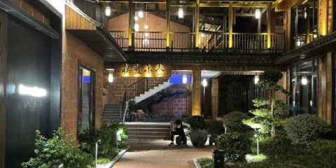 聯盟滋味黃蓮樹下