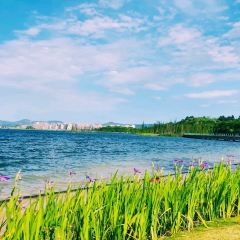 Indeed Cafe 硬地 User Photo