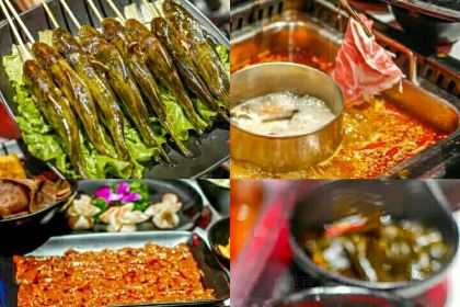 蜀九香火锅(华阳店)