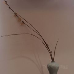半壁江山 User Photo