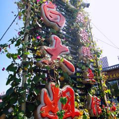 BAI DA JIE NONG GU XIAN YU GUAN User Photo