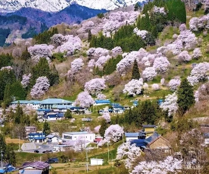 Kosan-ji Temple