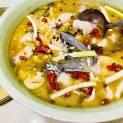 Chenfulaozihaoyuzhuang (xinjin) User Photo