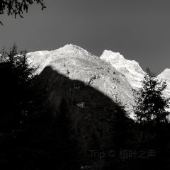 四姑娘山阿巴郎·藏式花园餐厅 User Photo