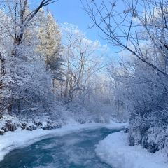 长白山万达喜来登度假酒店·大堂吧 User Photo