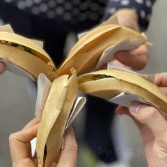 兰烘糕 User Photo