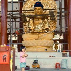 Zammai張用戶圖片