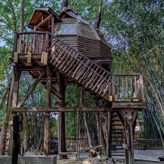 Fanpu Life User Photo