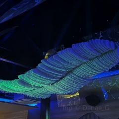 Bar Constellation 여행 사진