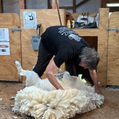 Tussock Hill Vineyard and Cellar Door Restaurant 여행 사진