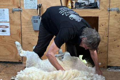 Tussock Hill Vineyard and Cellar Door Restaurant