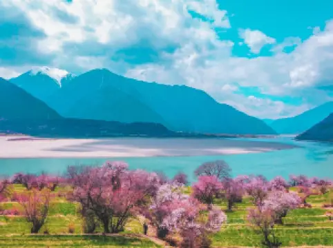 Popular Spring Outings in Mainling