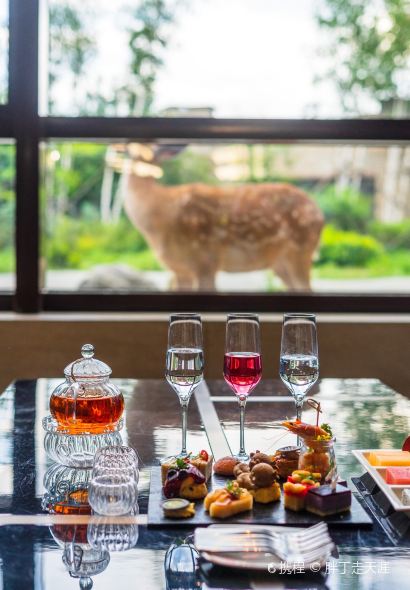 长白山吉视传媒铂尔曼度假酒店·大堂吧