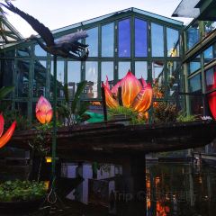 E-Restaurant User Photo