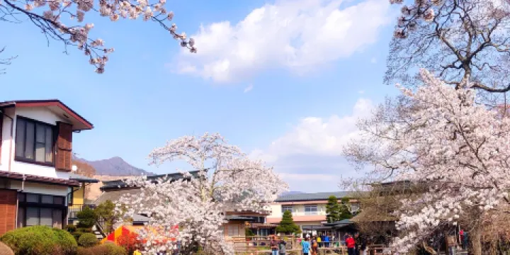 忍野八海名泉そば