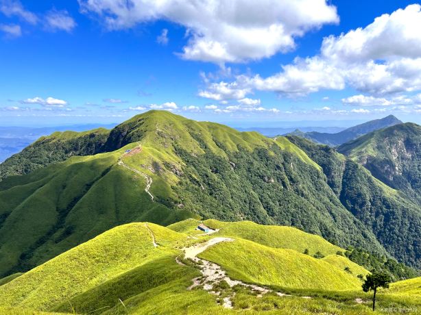 龍山村