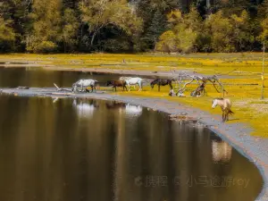 Wuxuhai Scenic Area